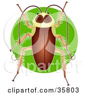 Brown Cockroach Periplaneta Americana Over A Green Circle