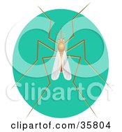 Clipart Illustration Of A Mosquito With Long Legs On A Turquoise Oval by Prawny