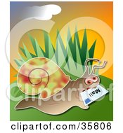 Poster, Art Print Of Snail Delivering Mail A Letter In His Mouth