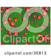 Poster, Art Print Of Background Of Crowding Ladybugs On A Green Leaf