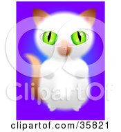 Poster, Art Print Of Cute Green Eyed Brown And White Kitten Sitting Up On Its Hind Legs And Begging