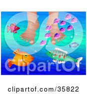 Clipart Illustration Of A Person Soaking Their Feet In Water While Curious Colorful Fish Swim Around by Prawny