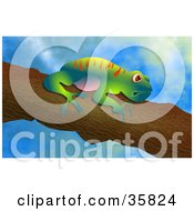 Poster, Art Print Of Cute Colorful Tree Frog Clinging To A Branch Over A Sky Background