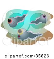 Poster, Art Print Of Three Happy Tadpoles Swimming With Bubbles Underwater