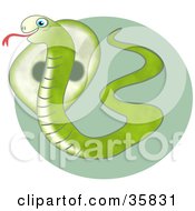 Poster, Art Print Of Green Hissing Cobra Snake Showing Its Hood