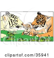 Poster, Art Print Of Tiger Parents Grooming Their Cub