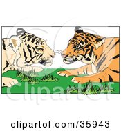 Poster, Art Print Of Tiger Pair Gazing At Each Other While Laying In Grass