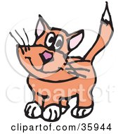 Poster, Art Print Of Innocent Orange Cat With White Paws