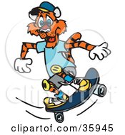 Poster, Art Print Of Skateboarding Tiger In Clothes And Knee Pads