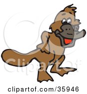 Laughing Brown Platypus
