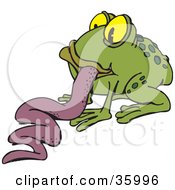 Poster, Art Print Of Green Spotted Frog With His Long Purple Tongue Hanging Out