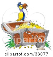 Poster, Art Print Of White Yellow And Blue Parrot Perched On An Open Treasure Chest Full Of Jewels And Gold
