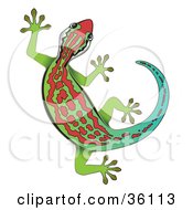 Gradient Green And Blue Gecko With Red Markings