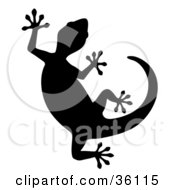 Clipart Illustration Of A Silhouetted Curved Gecko