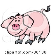 Clipart Illustration Of A Shy Pink Piggy