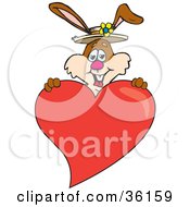 Poster, Art Print Of Bunny Rabbit Holding Up A Big Red Love Heart