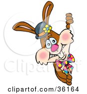 Clipart Illustration Of A Bunny Rabbit In A Hat And Tie Looking Around A Corner by Dennis Holmes Designs