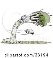 Clipart Illustration Of A Koala Clinging To A Tree During A Wind Storm by Dennis Holmes Designs