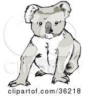 Clipart Illustration Of A Koala Propping Himself Up With His Front Legs