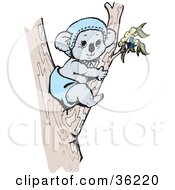 Clipart Illustration Of A Cute Baby Koala In A Tree