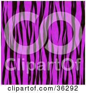 Poster, Art Print Of Pink Tiger Stripe Fur Pattern Background