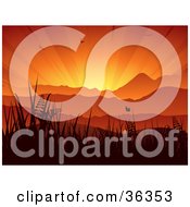 Clipart Illustration Of A Silhouetted Birds And Butterflies Flying Above Grasses And Mountains Against A Bursting Orange Sunset Sky