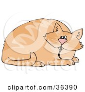 Poster, Art Print Of Chubby Orange Cat With A Mouse Tail Hanging Out Of His Mouth