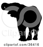 Clipart Illustration Of A Black Silhouetted Adult Elephant With His Trunk In His Mouth