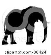 Clipart Illustration Of A Black Silhouetted Adult Elephant Profiled Right