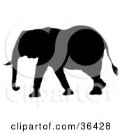 Poster, Art Print Of Black Silhouetted Adult Elephant Walking Left