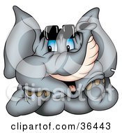 Poster, Art Print Of Gray Elephant Wearing Shades Looking To The Side And Day Dreaming