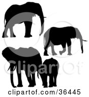 Poster, Art Print Of Four Silhouetted Elephants