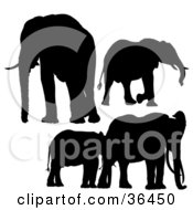 Black Silhouetted Elephants