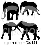Clipart Illustration Of Four Elephants Silhouetted In Black by dero