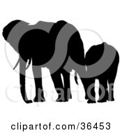 Poster, Art Print Of Black Silhouetted Adult Elephant Leading Its Baby Elephant