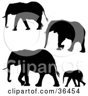 Poster, Art Print Of Four Black Elephant Silhouettes