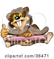 Poster, Art Print Of Coloring Beaver Giving The Thumbs Up And Holding A Purple Pencil