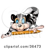 Clipart Illustration Of A Blue Eyed Raccoon Rolling An Orange Marker by dero