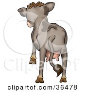 Clipart Illustration Of A Brown Spotted Cow With Udders Facing Away by dero