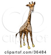 Clipart Illustration Of A Tall Giraffe With Dark Markings