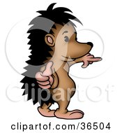 Clipart Illustration Of A Hedgehog Giving The Thumbs Up And Pointing Right