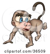 Clipart Illustration Of A Cute Blue Eyed Brown Monkey Walking On All Fours by dero