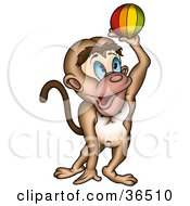 Poster, Art Print Of Playful Blue Eyed Monkey Catching Or Throwing A Ball