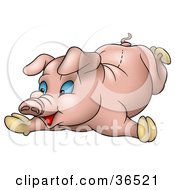 Clipart Illustration Of A Clumsy Blue Eyed Pig Falling Flat On Its Belly