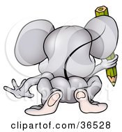 Poster, Art Print Of Gray Mouse Sticking His Butt In The Air And Coloring As Seen From Behind