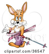Poster, Art Print Of Sporty Rabbit Walking With Ski Gear