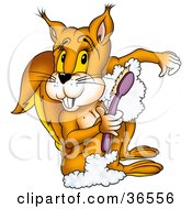 Poster, Art Print Of Clean Orange Squirrel Using A Scrub Brush And Soap In The Shower