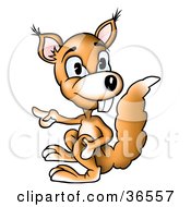 Poster, Art Print Of Buck Toothed Orange Squirrel Pointing Left