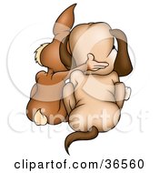 Poster, Art Print Of Brown Rabbit And Dog Huddled Together As Seen From Behind
