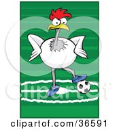 White Rooster Playing Association Football Or Soccer